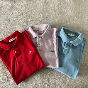 Lacoste polo shirt Bundle